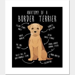 Border Terrier Wheaten Dog Anatomy Posters and Art